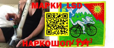 крисы Камышлов