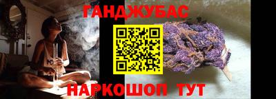 крисы Камышлов
