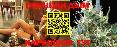 крисы Камышлов