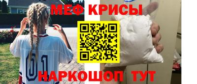 крисы Камышлов