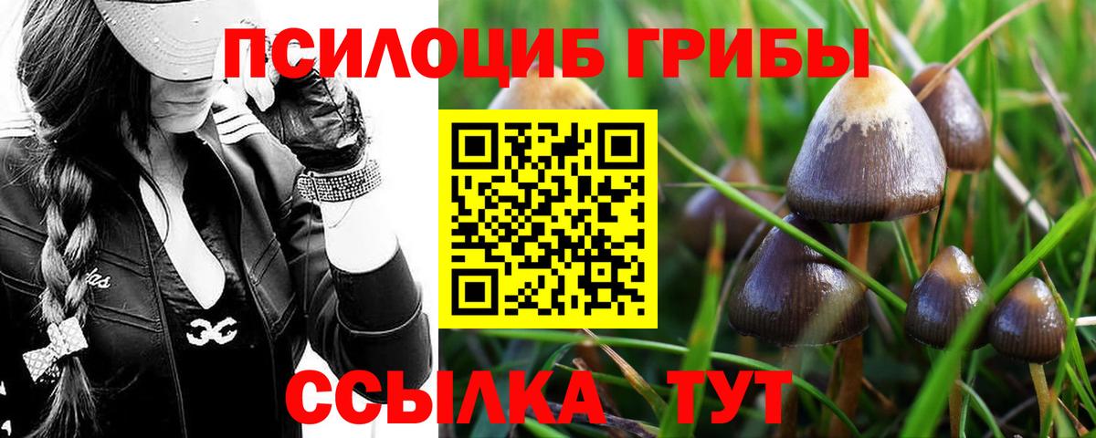 Галлюциногенные грибы MAGIC MUSHROOMS  Псилоцибиновые грибы GOLDEN TEACHER  Глазов  Вход с VPN 